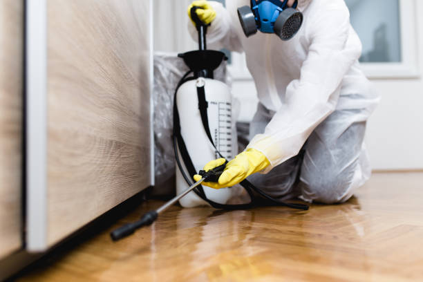 Best Emergency Pest Control  in Lwa, CA