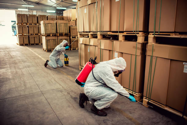 Best Termite Control Services  in Lwa, CA