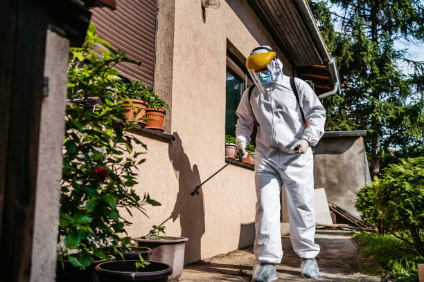 Best Pest Prevention Services  in Lwa, CA