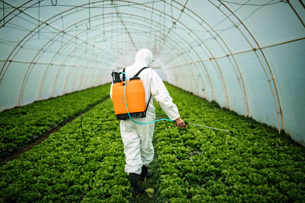 Pest Control Cost in Calwa, CA