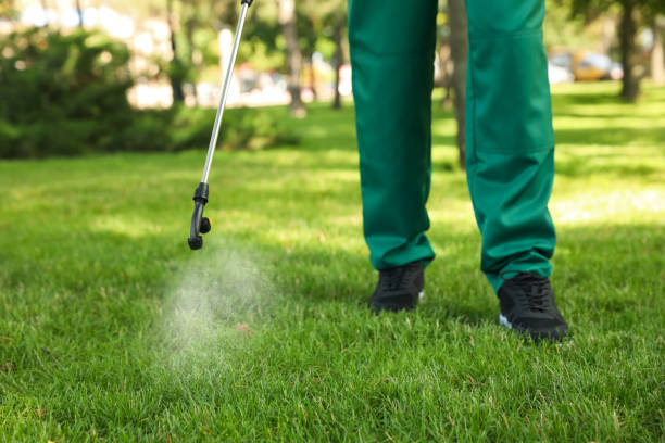 Best Rat Extermination Near Me  in Lwa, CA