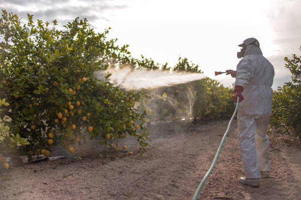 Best Residential Pest Control  in Lwa, CA