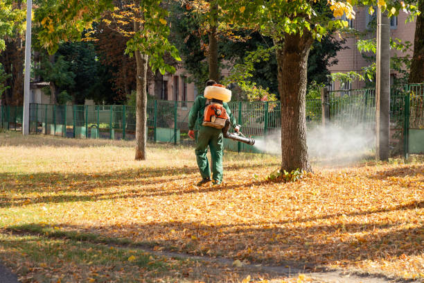 Reliable Calwa, CA Pest Control Solutions