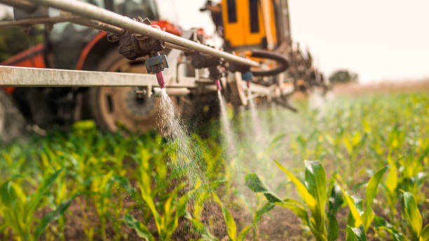 Best Pest Control for Homes  in Lwa, CA