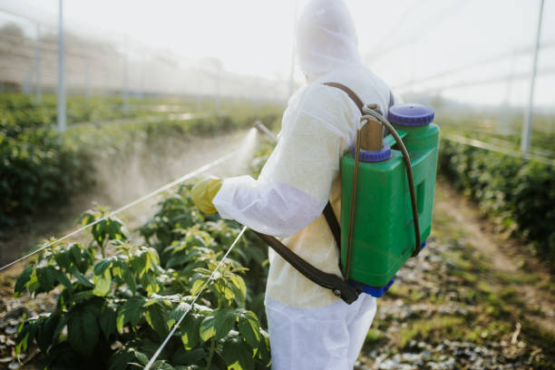 Best Commercial Pest Control Services  in Lwa, CA